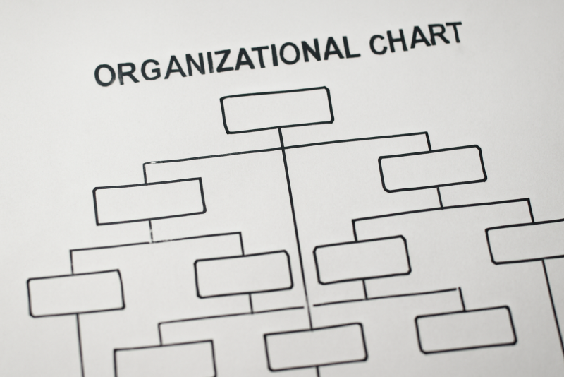 organigramme avec plusieurs branches et filiales